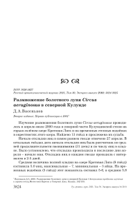 Размножение болотного луня Circus aeruginosus в северной Кулунде