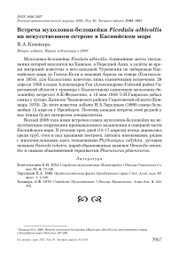 Встреча мухоловки-белошейки Ficedula albicollis на искусственном острове в Каспийском море