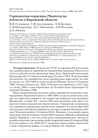 Горихвостка-чернушка Phoenicurus ochruros в Кировской области
