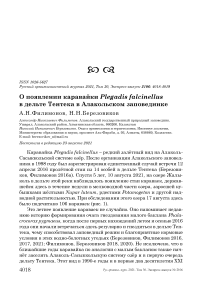 О появлении каравайки Plegadis falcinellus в дельте Тентека в Алакольском заповеднике