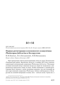Первая регистрация плосконосого плавунчика Phalaropus fulicarius в Белоруссии