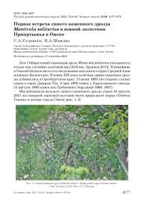 Первая встреча синего каменного дрозда Monticola solitarius в южной лесостепи Прииртышья в Омске