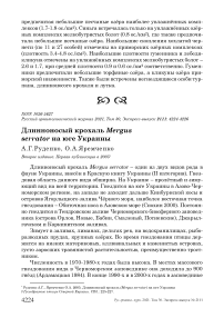 Длинноносый крохаль Mergus serrator на юге Украины