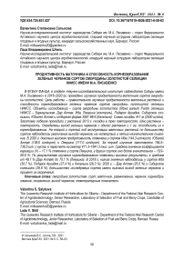 Продуктивность маточника и способность корнеобразования зеленых черенков сортов смородины золотистой селекции НИИСС имени М.А. Лисавенко