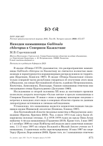 Находки камышницы Gallinula chloropus в Северном Казахстане