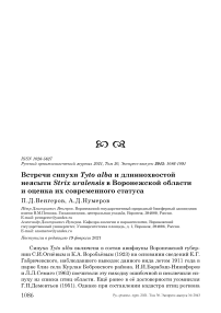 Встречи сипухи Tyto alba и длиннохвостой неясыти Strix uralensis в Воронежской области и оценка их современного статуса