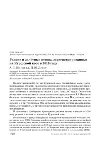 Редкие и залётные птицы, зарегистрированные на Куршской косе в 2018 году