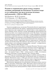 Редкие и охраняемые виды птиц в период осенних миграций на Псковско-Чудском озере и его побережье (по результатам полевых наблюдений с 1956 по 2008 год)