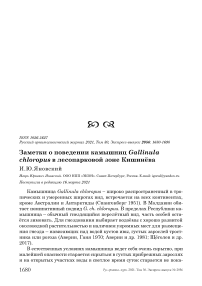 Заметки о поведении камышниц Gallinula chloropus в лесопарковой зоне Кишинёва