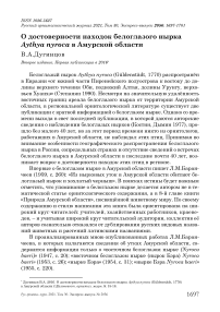 О достоверности находок белоглазого нырка Aythya nyroca в Амурской области