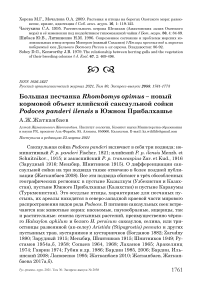 Большая песчанка Rhombomys opimus - новый кормовой объект илийской саксаульной сойки Podoces panderi ilensis в Южном Прибалхашье