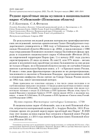 Редкие пролётные виды куликов в национальном парке "Себежский" (Псковская область)