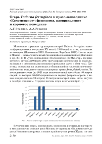 Огарь Tadorna ferruginea в музее-заповеднике "Коломенское": фенология, распределение и кормовое поведение