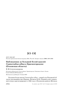 Наблюдения за большой белой цаплей Casmerodius albus в Красногородске (Псковская область)