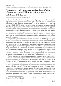 Первый случай гнездования балобана Falco cherrug на опоре ЛЭП в Алтайском крае