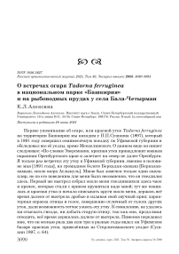 О встречах огаря Tadorna ferruginea в национальном парке "Башкирия" и на рыбоводных прудах у села Бала-Четырман