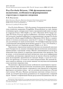 Род Pyrrhula brisson, 1760: функциональное назначение, особенности формирования структуры и окраски оперения