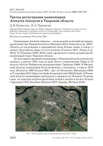Третья регистрация камнешарки Arenaria interpres в Тверской области