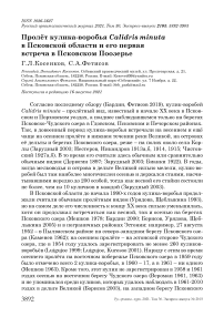 Пролёт кулика-воробья Calidris minuta в Псковской области и его первая встреча в Псковском Поозерье