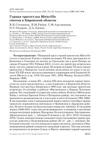 Горная трясогузка Motacilla cinerea в Кировской области