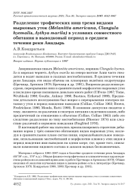 Разделение трофических ниш тремя видами нырковых уток (Melanitta americana, Clangula hyemalis, Aythya marila) в условиях совместного обитания в выводковый период в среднем течении реки Анадырь