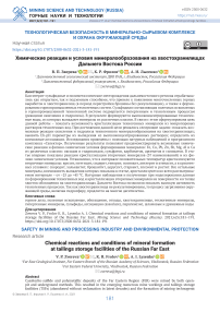 Химические реакции и условия минералообразования на хвостохранилищах Дальнего Востока России
