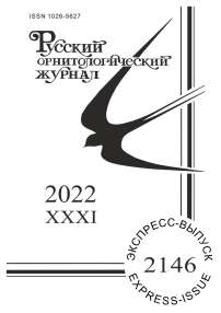 2146 т.31, 2022 - Русский орнитологический журнал