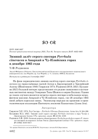 Зимний залёт серого снегиря pyrrhula cineracea в анархай в чу-илийских горах в декабре 1965 года