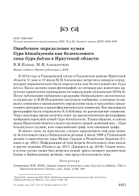 Ошибочное определение кумая gyps himalayensis как белоголового сипа gyps fulvus в иркутской области
