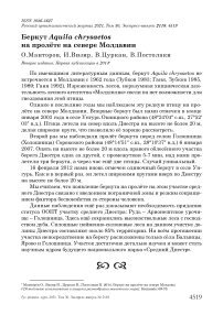 Беркут aquila chrysaetos на пролёте на севере молдавии