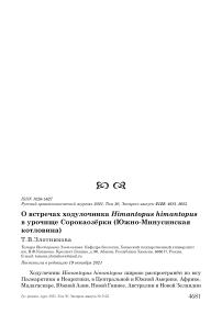 О встречах ходулочника himantopus himantopus в урочище сорокаозёрки (южно-минусинская котловина)