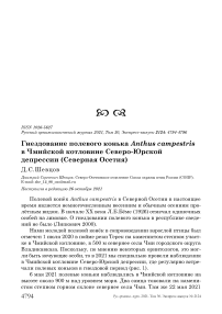 Гнездование полевого конька anthus campestris в чмийской котловине северо-юрской депрессии (северная осетия)