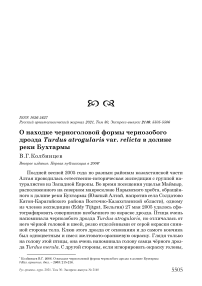 О находке черноголовой формы чернозобого дрозда turdus atrogularis var. Relicta в долине реки бухтармы