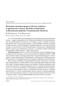 Находки овсянки-ремеза ocyris rusticus и трёхпалого дятла picoides tridactylus в инзенском районе ульяновской области