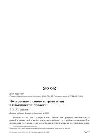 Интересные зимние встречи птиц в ульяновской области