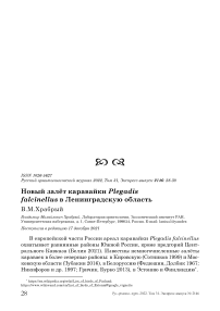 Новый залёт каравайки plegadis falcinellus в ленинградскую область