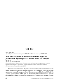 Зимние встречи мохноногого сыча aegolius funereus в предгорьях алтая в 2012-2015 годах