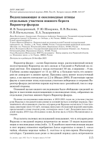 Водоплавающие и околоводные птицы отдельных участков южного берега варангер-фьорда