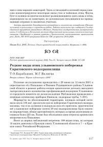 Редкие виды птиц ульяновского побережья саратовского водохранилища