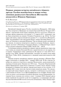 Первая зимняя встреча китайского чёрного дрозда turdus mandarinus и новая точка зимовки рыжеухого бюльбюля microscelis amaurotis в южном приморье