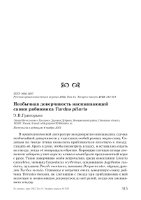 Необычная доверчивость насиживающей самки рябинника turdus pilaris