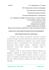 Аудит бухгалтерской отчетности в малом бизнесе