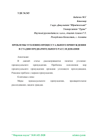 Проблемы уголовно-процессуального принуждения в стадии предварительного расследования