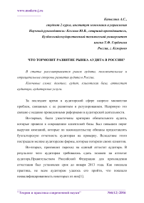 Что тормозит развитие рынка аудита в России?