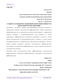 Сущность и понятие экономической эффективности деятельности организации