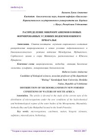 Распределение микроорганизмов в новых формированных условиях водоемов Южного Приаралья