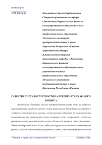 Развитие учета и отчетности на предприятиях малого бизнеса