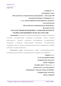 Государственная поддержка субъектов малого и среднего предпринимательства в России