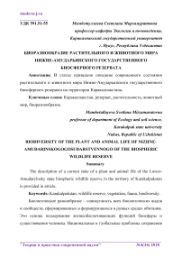 Биоразнообразие растительного и животного мира Нижне-Амударьинского государственного биосферного резервата