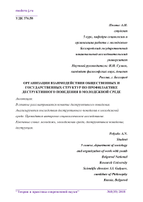 Организация взаимодействия общественных и государственных структур по профилактике деструктивного поведения в молодежной среде